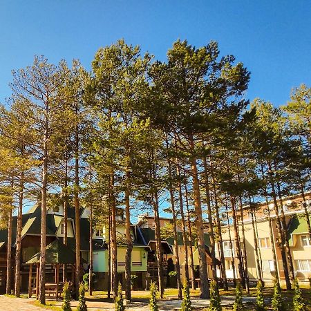 Bonami Divcibare Daire Dış mekan fotoğraf